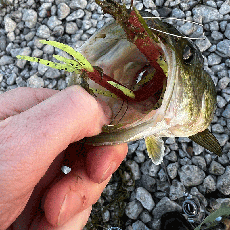  Delong Lures 4.5 Weedless TwinTail - Bass Fishing